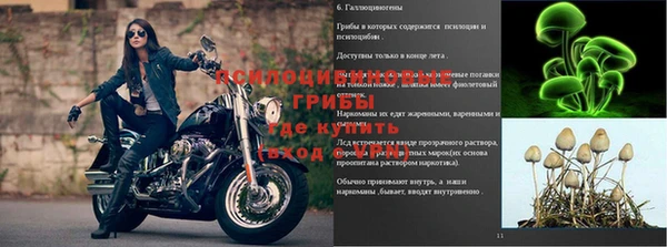 МДПВ Горно-Алтайск