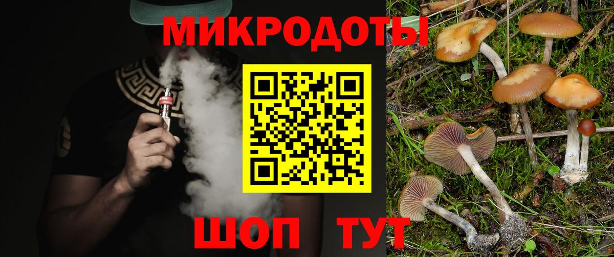 Галлюциногенные грибы Psilocybe Гусь-Хрустальный